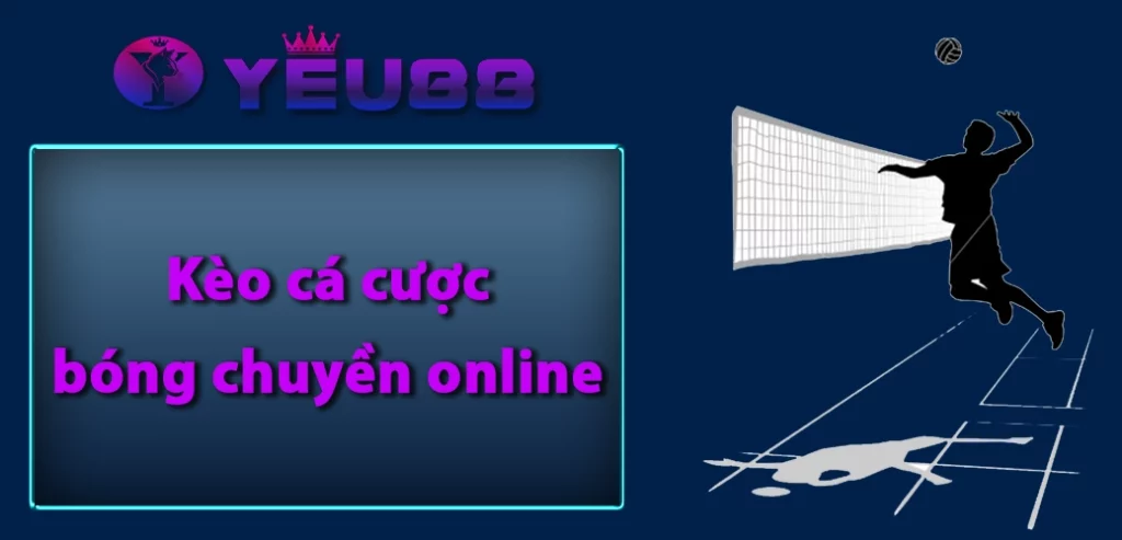 Kèo cá cược bóng chuyền online