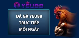 da-ga-yeu88-truc-tiep-moi-ngay