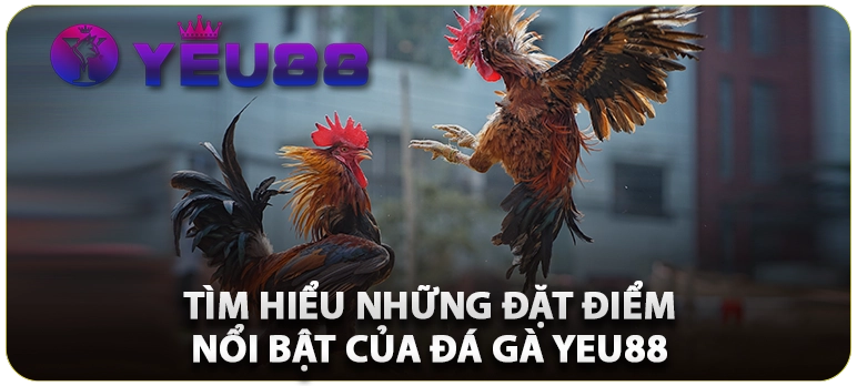 tim-hieu-nhung-dat-diem-noi-bat-cua-nha-cai-yeu88